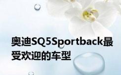 奥迪SQ5Sportback最受欢迎的车型