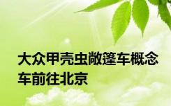 大众甲壳虫敞篷车概念车前往北京
