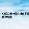 C8克尔维特酸性绿色不是您惯用的保时捷