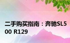 二手购买指南：奔驰SL500 R129