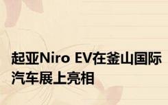 起亚Niro EV在釜山国际汽车展上亮相