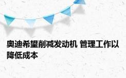 奥迪希望削减发动机 管理工作以降低成本