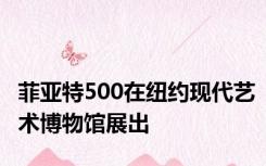 菲亚特500在纽约现代艺术博物馆展出