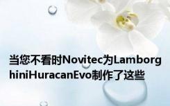 当您不看时Novitec为LamborghiniHuracanEvo制作了这些