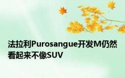 法拉利Purosangue开发M仍然看起来不像SUV