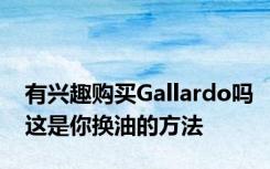 有兴趣购买Gallardo吗这是你换油的方法
