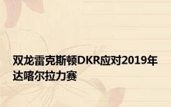 双龙雷克斯顿DKR应对2019年达喀尔拉力赛