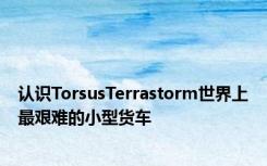 认识TorsusTerrastorm世界上最艰难的小型货车