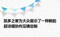 凯多之家为大众展示了一种新的超详细协作压铸定制