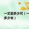 一丈是多少尺（一丈是多少米）