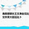 商务部部长王文涛会见比利时外交外贸大臣拉比卜
