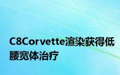 C8Corvette渲染获得低腰宽体治疗