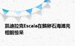 凯迪拉克Escala在鹅卵石海滩亮相前惊呆