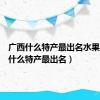 广西什么特产最出名水果（广西什么特产最出名）