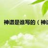神谱是谁写的（神谱）