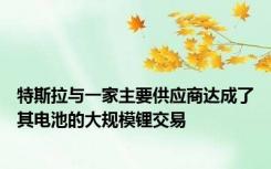 特斯拉与一家主要供应商达成了其电池的大规模锂交易
