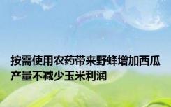按需使用农药带来野蜂增加西瓜产量不减少玉米利润