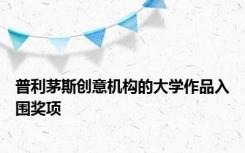 普利茅斯创意机构的大学作品入围奖项