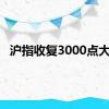 沪指收复3000点大关