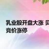 乳业股开盘大涨 贝因美竞价涨停