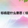 标底是什么意思（标底）