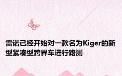 雷诺已经开始对一款名为Kiger的新型紧凑型跨界车进行路测