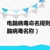 电脑病毒命名规则（电脑病毒名称）
