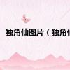 独角仙图片（独角仙）