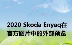2020 Skoda Enyaq在官方图片中的外部预览