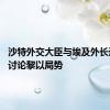 沙特外交大臣与埃及外长通电话 讨论黎以局势