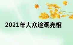 2021年大众途观亮相