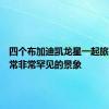 四个布加迪凯龙星一起旅行是非常非常罕见的景象