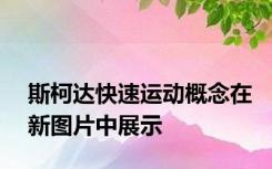 斯柯达快速运动概念在新图片中展示