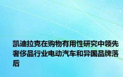 凯迪拉克在购物有用性研究中领先奢侈品行业电动汽车和异国品牌落后