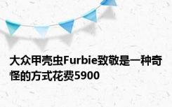 大众甲壳虫Furbie致敬是一种奇怪的方式花费5900