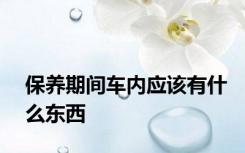 保养期间车内应该有什么东西