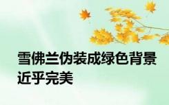 雪佛兰伪装成绿色背景近乎完美
