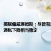美联储威廉姆斯：尽管有波动 但通胀下降相当稳定