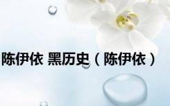 陈伊依 黑历史（陈伊依）