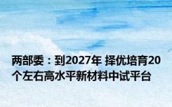 两部委：到2027年 择优培育20个左右高水平新材料中试平台