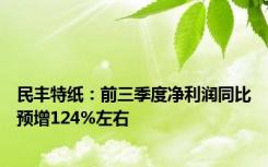 民丰特纸：前三季度净利润同比预增124%左右