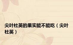 尖叶杜英的果实能不能吃（尖叶杜英）