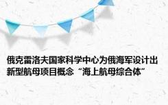 俄克雷洛夫国家科学中心为俄海军设计出新型航母项目概念“海上航母综合体”