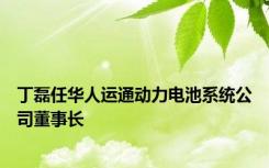 丁磊任华人运通动力电池系统公司董事长