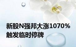 新股N强邦大涨1070% 触发临时停牌