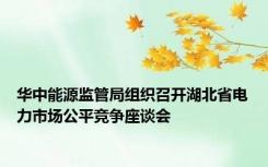 华中能源监管局组织召开湖北省电力市场公平竞争座谈会