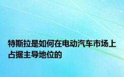 特斯拉是如何在电动汽车市场上占据主导地位的