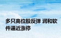 多只高位股反弹 润和软件逼近涨停
