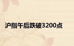 沪指午后跌破3200点