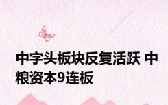 中字头板块反复活跃 中粮资本9连板